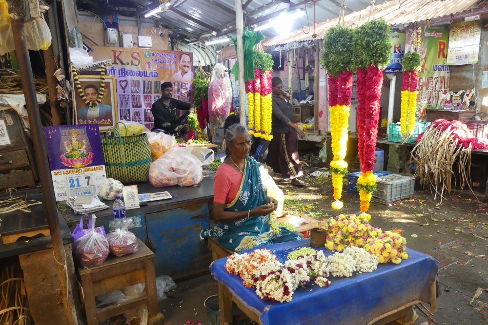 Voyage Kerala Inde du sud