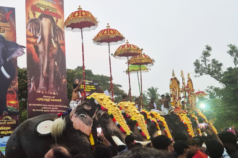 Voyage Kerala Inde du sud
