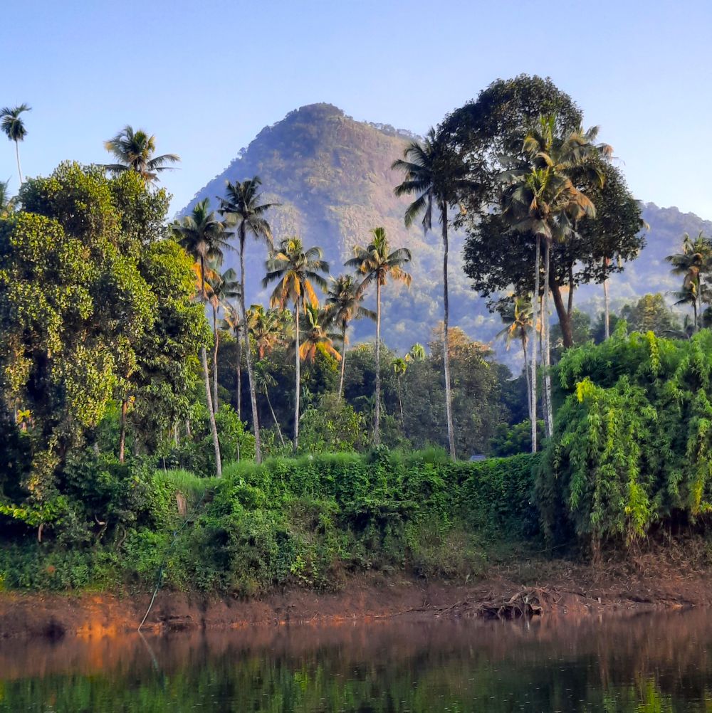 Voyage Kerala Inde du sud
