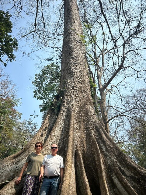 Voyage Kerala Inde du sud