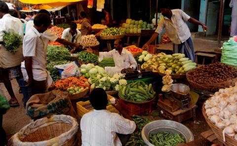 Voyage Kerala Inde du sud
