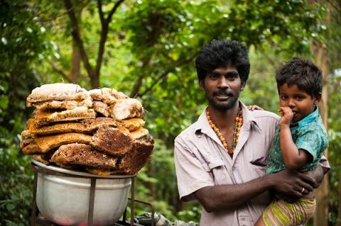 Voyage Kerala Inde du sud