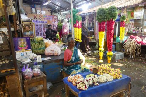 Voyage Kerala Inde du sud