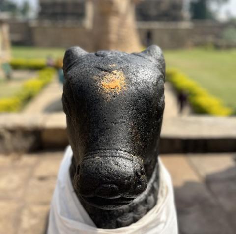 Voyage Kerala Inde du sud