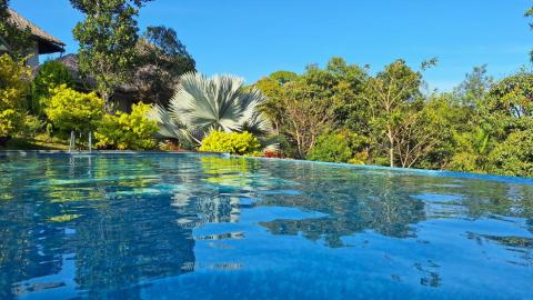 Voyage Kerala Inde du sud